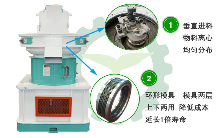 生物質香蕉视频毛片圖片