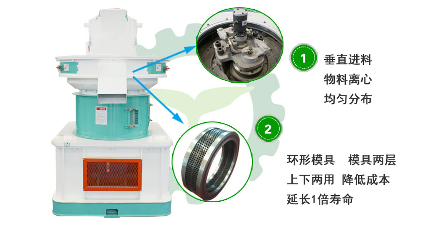 山東生物質香蕉视频毛片