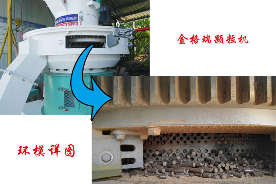 香蕉视频毛片圖