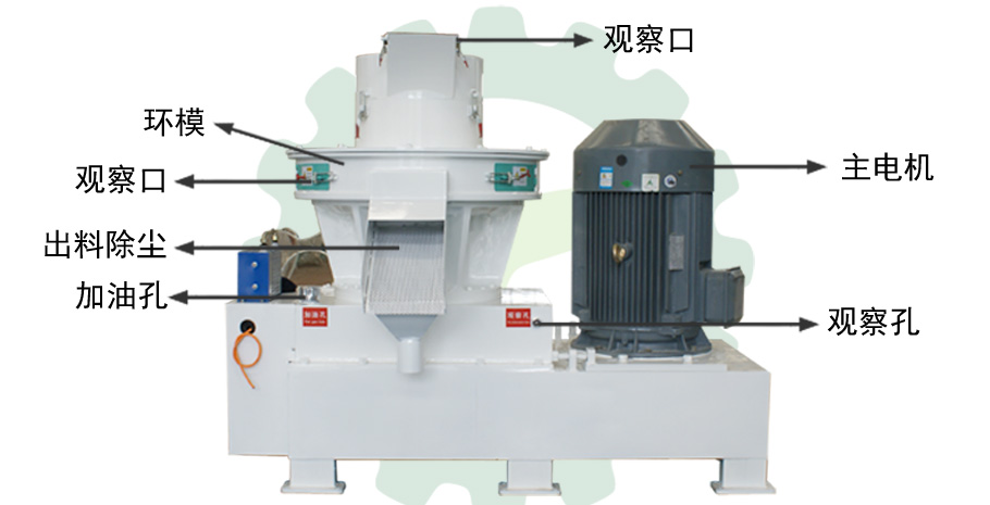 香蕉视频毛片圖