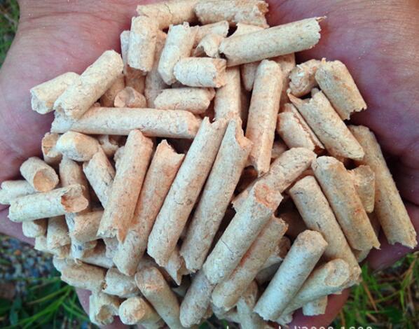 生物質香蕉视频毛片械設備