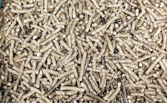 生物質香蕉视频毛片生物質燃料