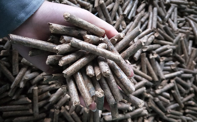 生物質香蕉视频毛片顆粒燃料
