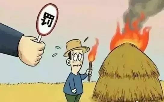 生物質香蕉视频毛片械