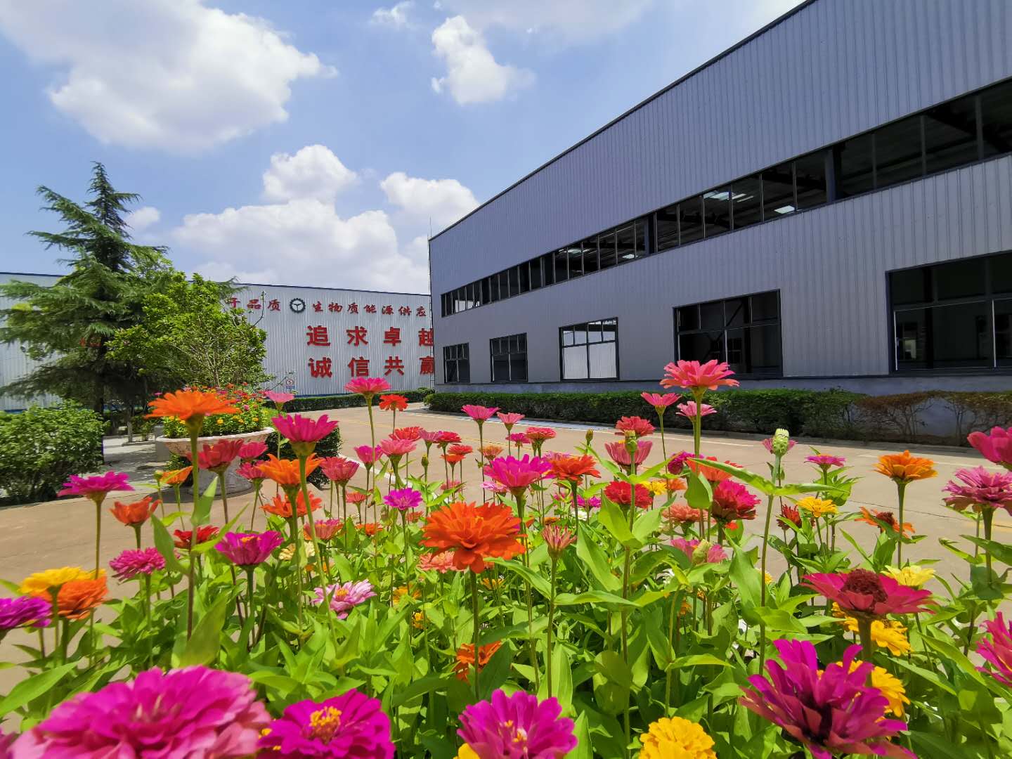 山東91香蕉APP在线下载香蕉视频毛片廠家
