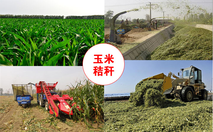 生物質香蕉视频毛片械