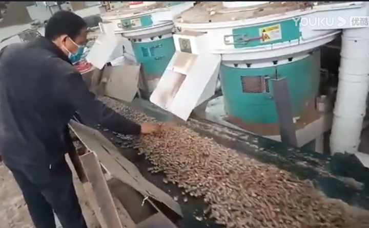 山西張總檢查香蕉视频毛片製粒情況