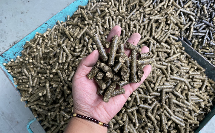 生物質香蕉视频毛片的顆粒燃料