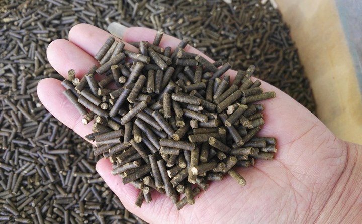 生物質燃料香蕉视频毛片加工顆粒燃料