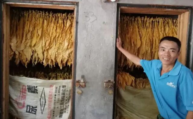 生物質香蕉视频毛片顆粒燃料烤煙