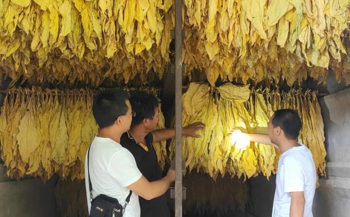 福泉：生物質顆粒智能化烘烤 助力烤煙產業提質增效