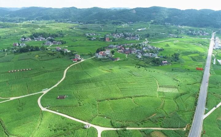 福泉：生物質顆粒智能化烘烤 助力烤煙產業提質增效