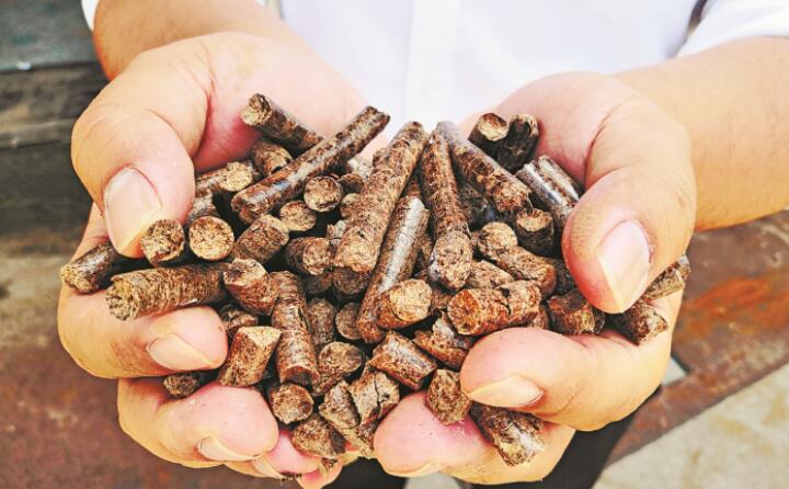 生物質香蕉视频毛片加工的環保木屑顆粒燃料
