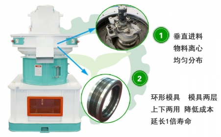 生物質香蕉视频毛片投資前景及對能源可持續發展的作用