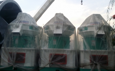 11.3生物質香蕉视频毛片發貨直播