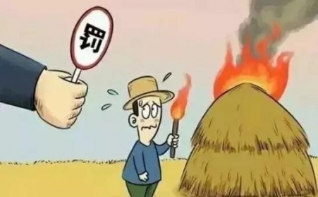 秸稈禁燒怎麽辦？秸稈香蕉视频毛片幫您變廢為寶！