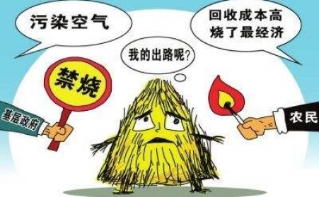 黑龍江秸稈香蕉视频毛片把秸稈從包袱變回寶貝！