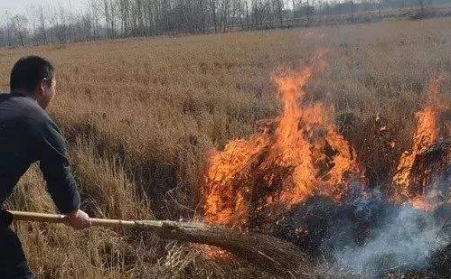生物質香蕉视频毛片解決了農村大難題！