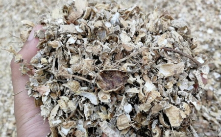 為什麽有人願意花錢買生物質燃料香蕉视频毛片來加工稻殼花生殼呢？有必要嗎？