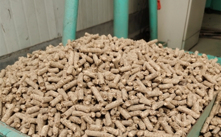 2021陽信清潔取暖1萬多戶全部使用生物質香蕉视频毛片的燃料顆粒