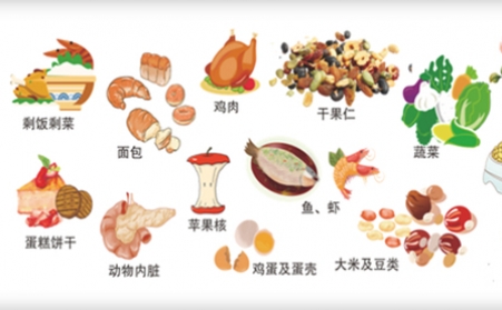 我國明確對非居民廚餘垃圾處理按“產生者付費”原則計量收費,你的垃圾怎麽辦？垃圾生物質香蕉视频毛片幫你解決
