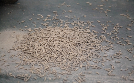 在日照生物質香蕉视频毛片的顆粒怎麽保存？