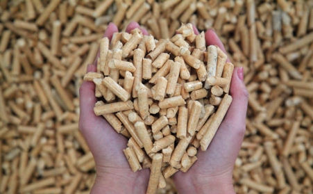 報告：日本2021年進口300萬噸生物質燃料香蕉视频毛片木屑顆粒