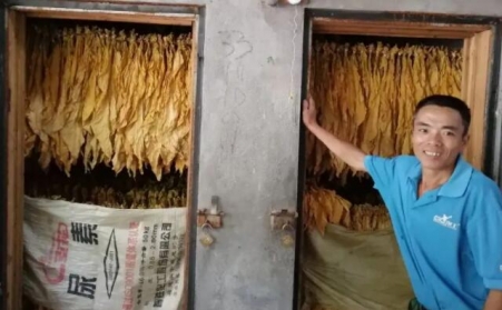 光澤華僑鄉：改造生物質顆粒燃料烤房，助力煙農減工增收