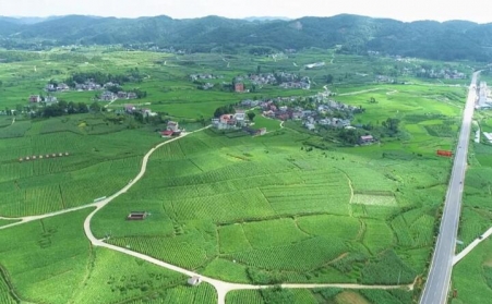 福泉：生物質顆粒智能化烘烤 助力烤煙產業提質增效