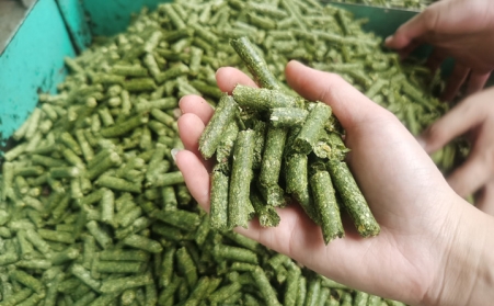 河南支持生物質能等可再生能源替代，助力實現碳達峰碳中和目標