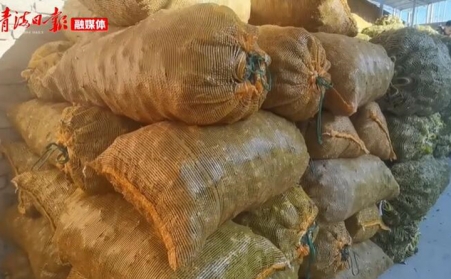 青海海東樂都：生物質顆粒燃料燃起鄉村振興新希望