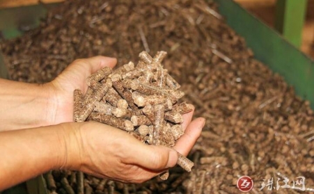 雲南省迤車鎮：廢枝雜木“變身”環保生物質顆粒燃料