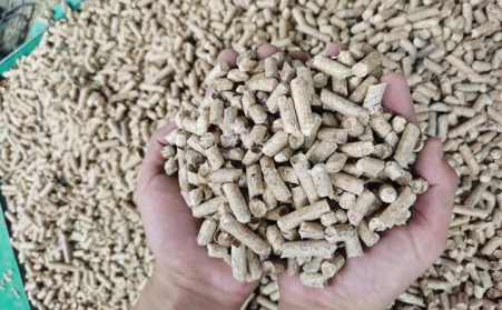 生物質香蕉视频毛片加工的顆粒燃料能烘烤煙葉嗎？有什麽優勢？ 