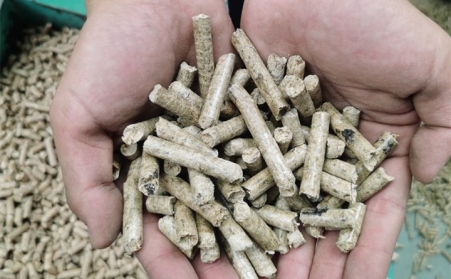 小型生物質顆粒廠為何難成氣候？