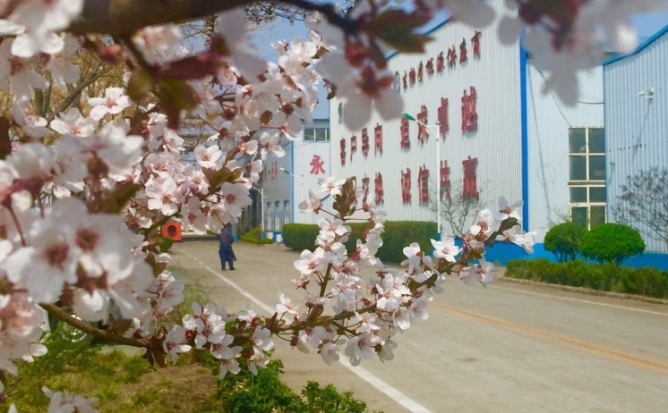 91香蕉APP在线下载四季